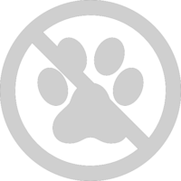 no-animals